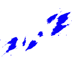 LAST TRY